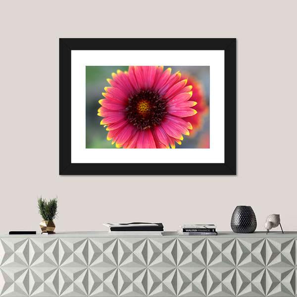 Ripe Red Flower Canvas Wall Art-1 Piece-Framed Print-20" x 16"-Tiaracle