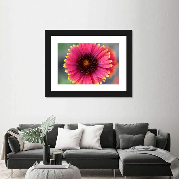 Ripe Red Flower Canvas Wall Art-3 Horizontal-Gallery Wrap-25" x 16"-Tiaracle