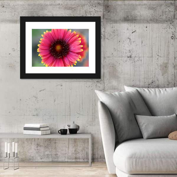 Ripe Red Flower Canvas Wall Art-3 Horizontal-Gallery Wrap-25" x 16"-Tiaracle