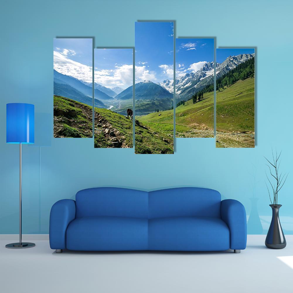 Rocky Mountains And Green Field In Jammu And Kashmir Canvas Wall Art-5 Pop-Gallery Wrap-47" x 32"-Tiaracle