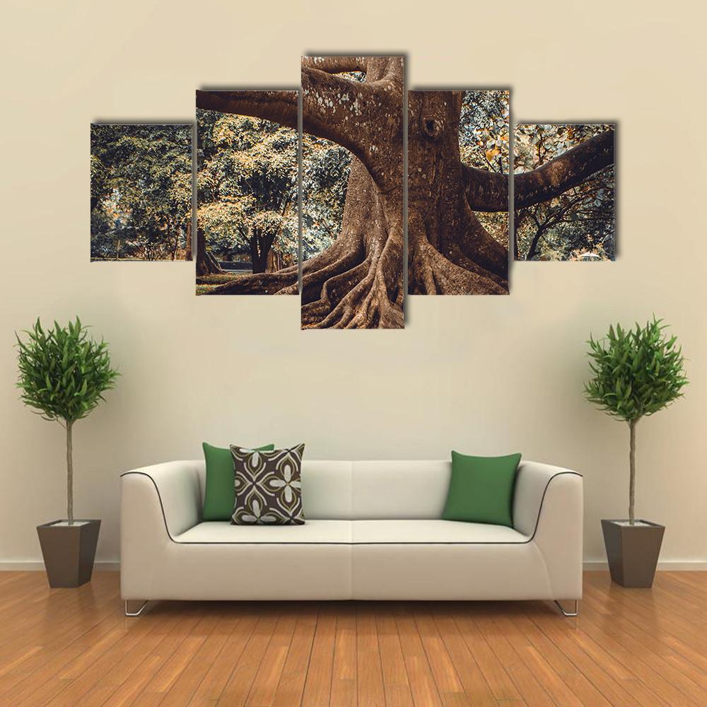 Root Of The Tree In The Forest Canvas Wall Art-5 Star-Gallery Wrap-62" x 32"-Tiaracle