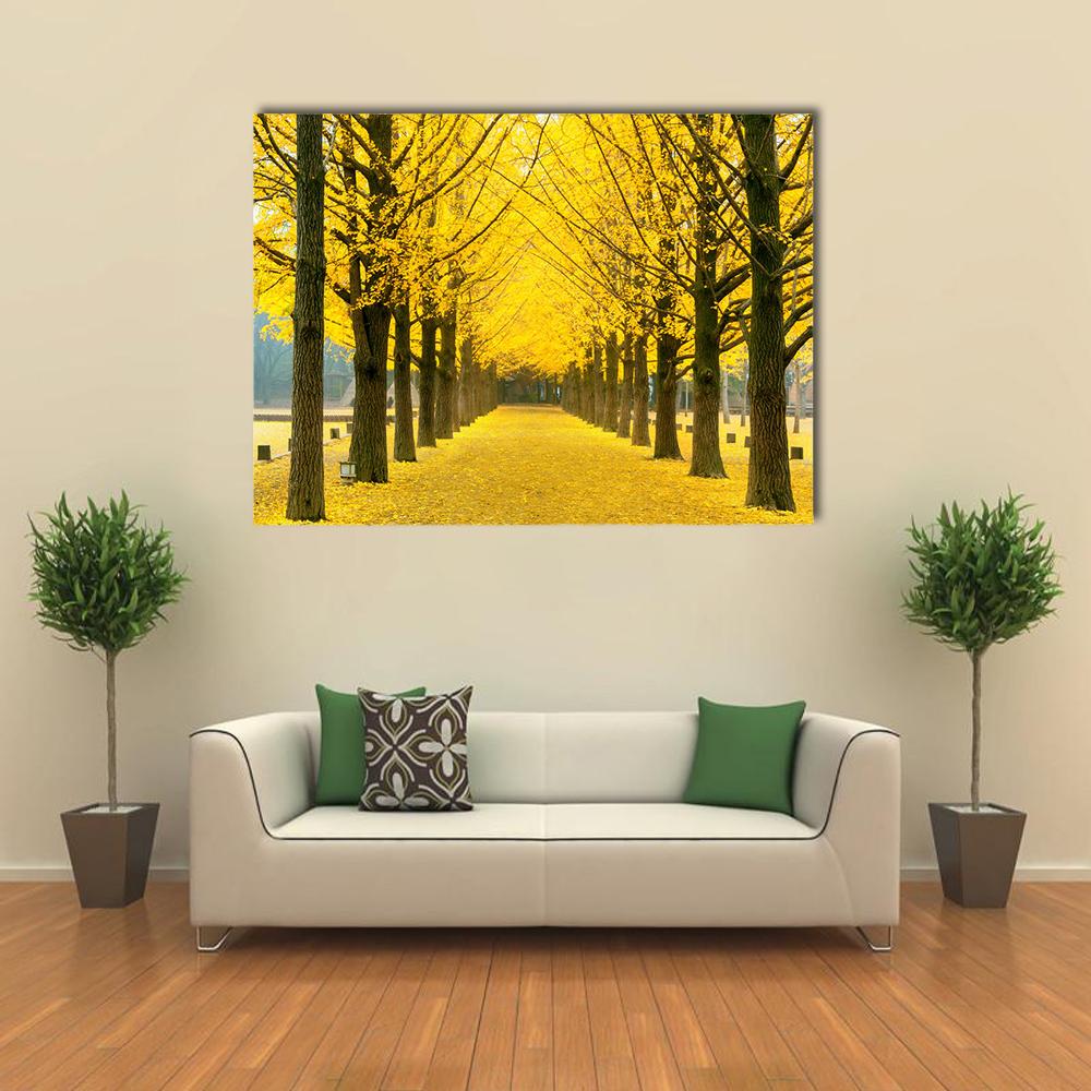 Row Of Yellow Ginkgo Tree In Nami Island Canvas Wall Art-1 Piece-Gallery Wrap-36" x 24"-Tiaracle