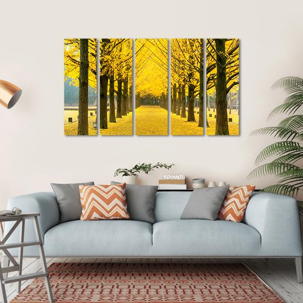 Row Of Yellow Ginkgo Tree In Nami Island Canvas Wall Art-5 Horizontal-Gallery Wrap-22" x 12"-Tiaracle