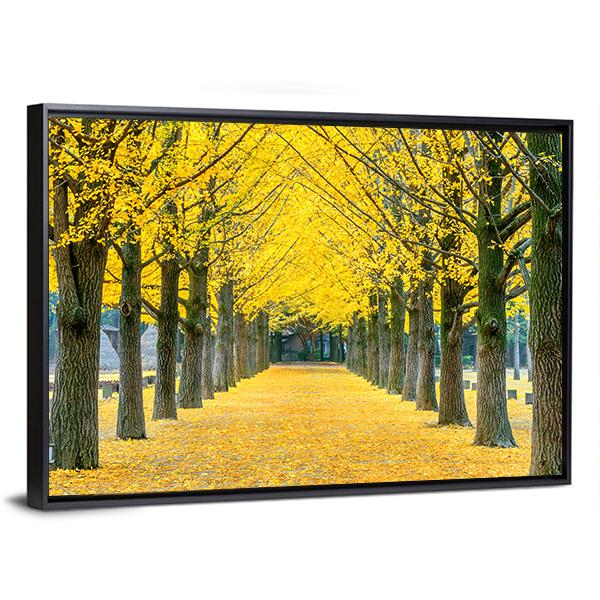 Row Of Yellow Ginkgo Tree In Nami Island Canvas Wall Art-3 Horizontal-Gallery Wrap-25" x 16"-Tiaracle