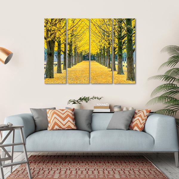 Row Of Yellow Ginkgo Tree In Nami Island Canvas Wall Art-4 Horizontal-Gallery Wrap-34" x 24"-Tiaracle