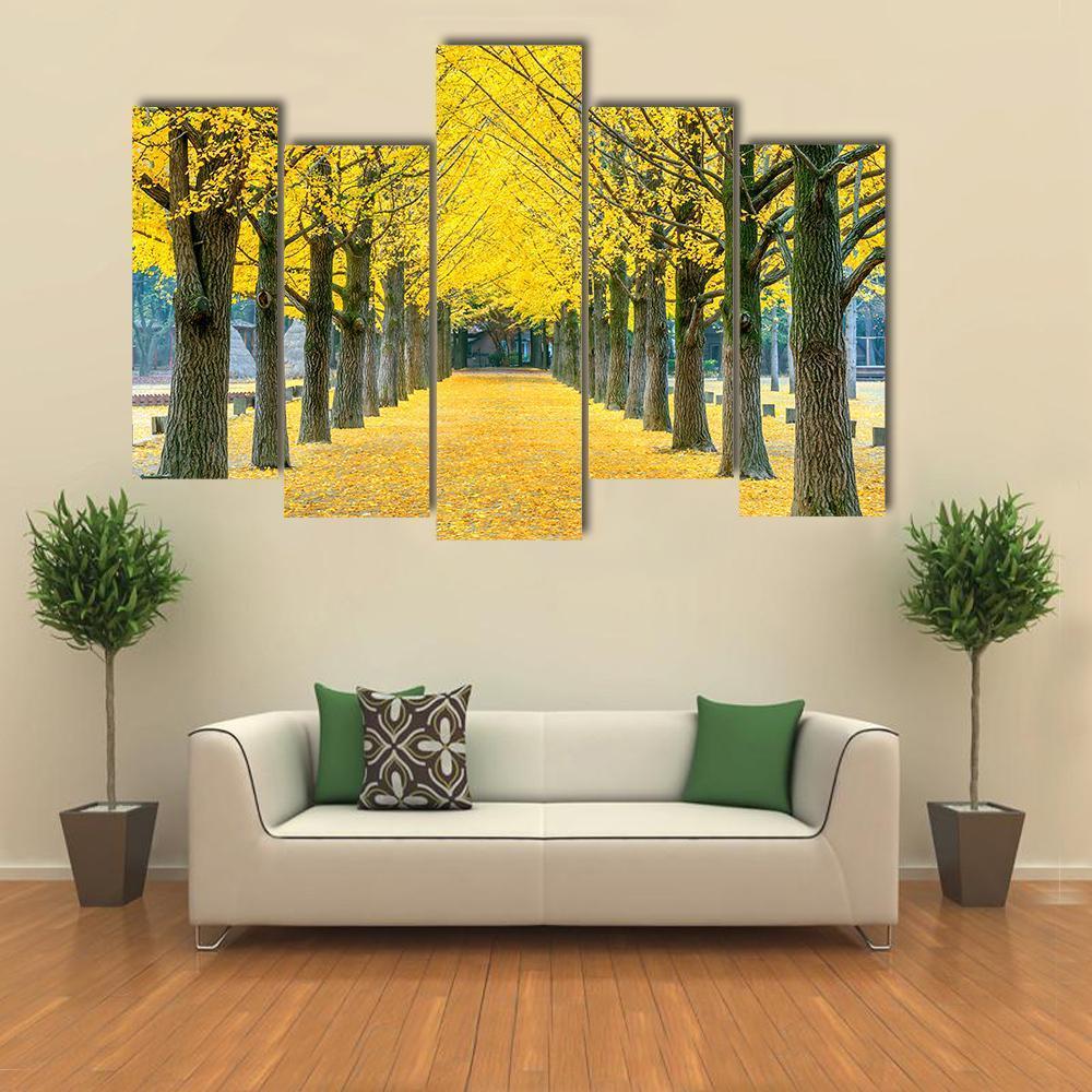 Row Of Yellow Ginkgo Tree In Nami Island Canvas Wall Art-5 Pop-Gallery Wrap-47" x 32"-Tiaracle