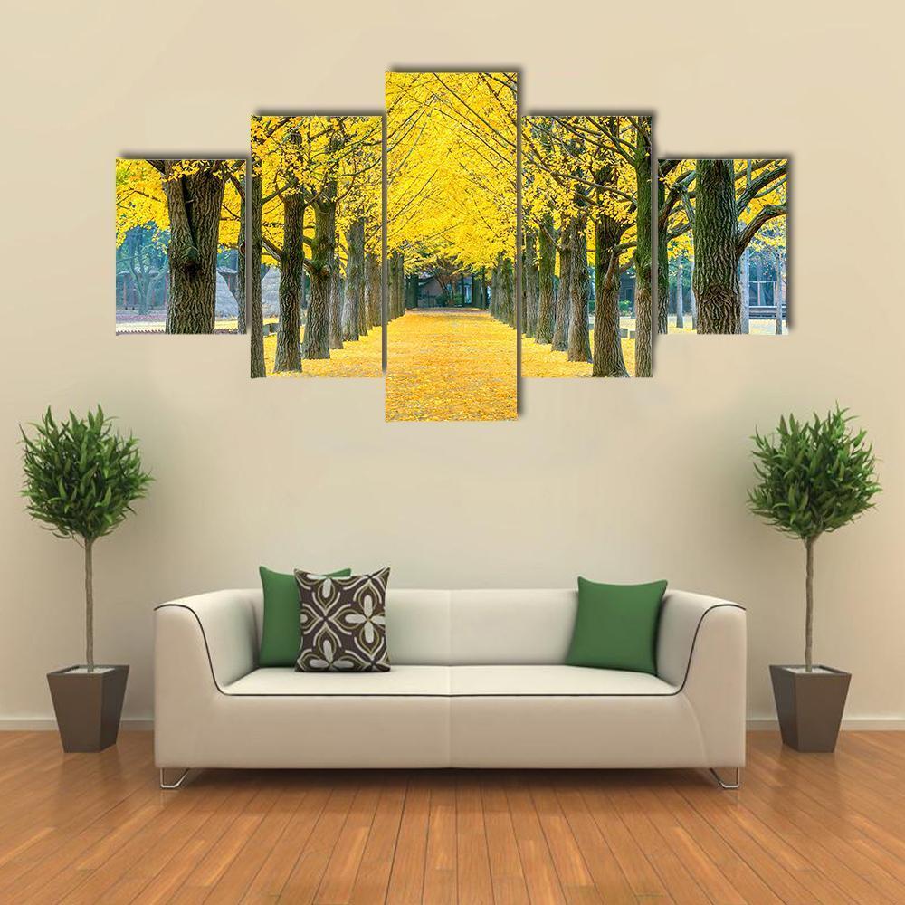Row Of Yellow Ginkgo Tree In Nami Island Canvas Wall Art-5 Star-Gallery Wrap-62" x 32"-Tiaracle