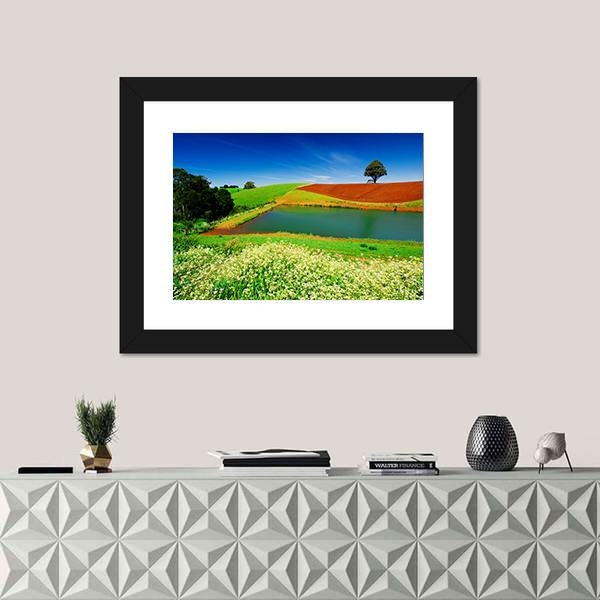 Rural Field In Tasmania Australia Canvas Wall Art-1 Piece-Framed Print-20" x 16"-Tiaracle