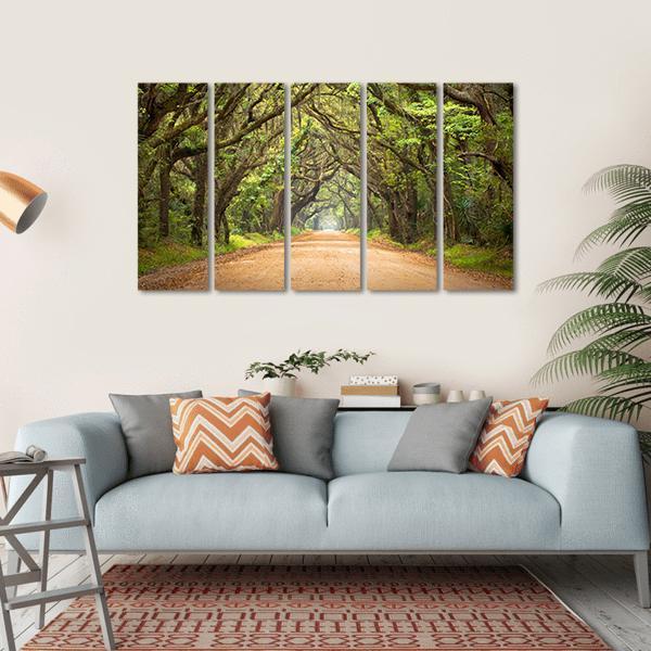 Scenic Forest With Spanish Moss Edisto Island Canvas Wall Art-5 Horizontal-Gallery Wrap-22" x 12"-Tiaracle