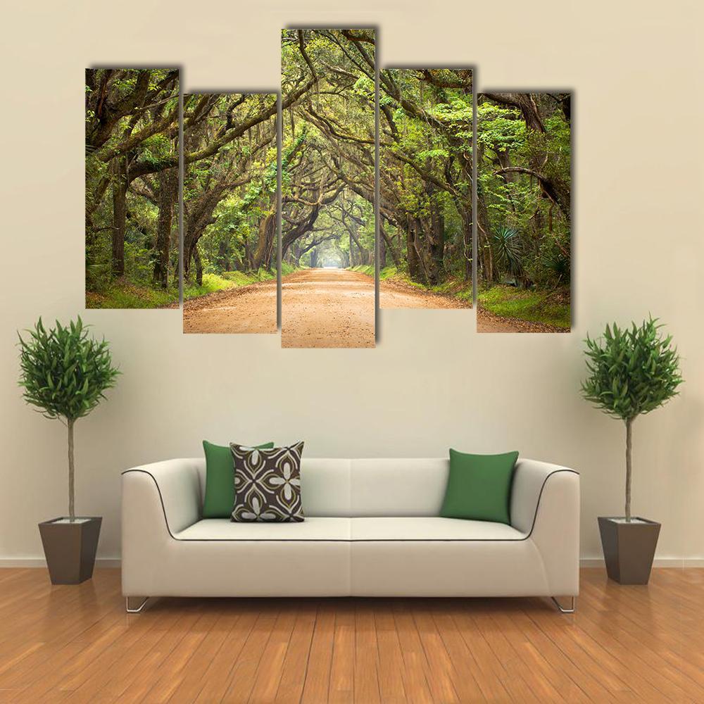 Scenic Forest With Spanish Moss Edisto Island Canvas Wall Art-5 Pop-Gallery Wrap-32" x 21"-Tiaracle