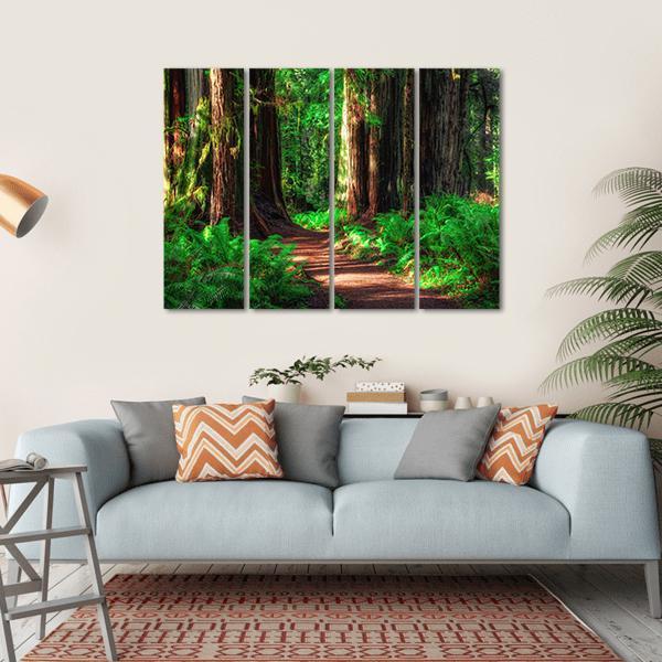 Scenic Path Through The Redwoods Forest Canvas Wall Art-4 Horizontal-Gallery Wrap-34" x 24"-Tiaracle
