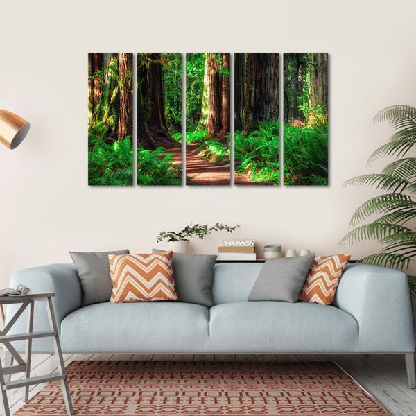 Scenic Path Through The Redwoods Forest Canvas Wall Art-5 Horizontal-Gallery Wrap-22" x 12"-Tiaracle