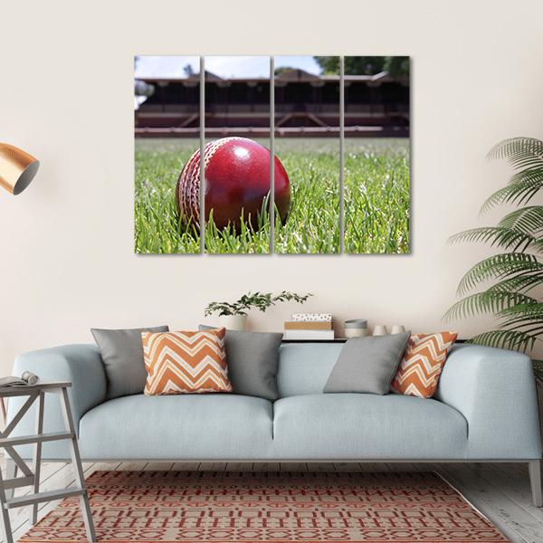 Shiny New Cricket Ball On Grass Canvas Wall Art-4 Horizontal-Gallery Wrap-34" x 24"-Tiaracle