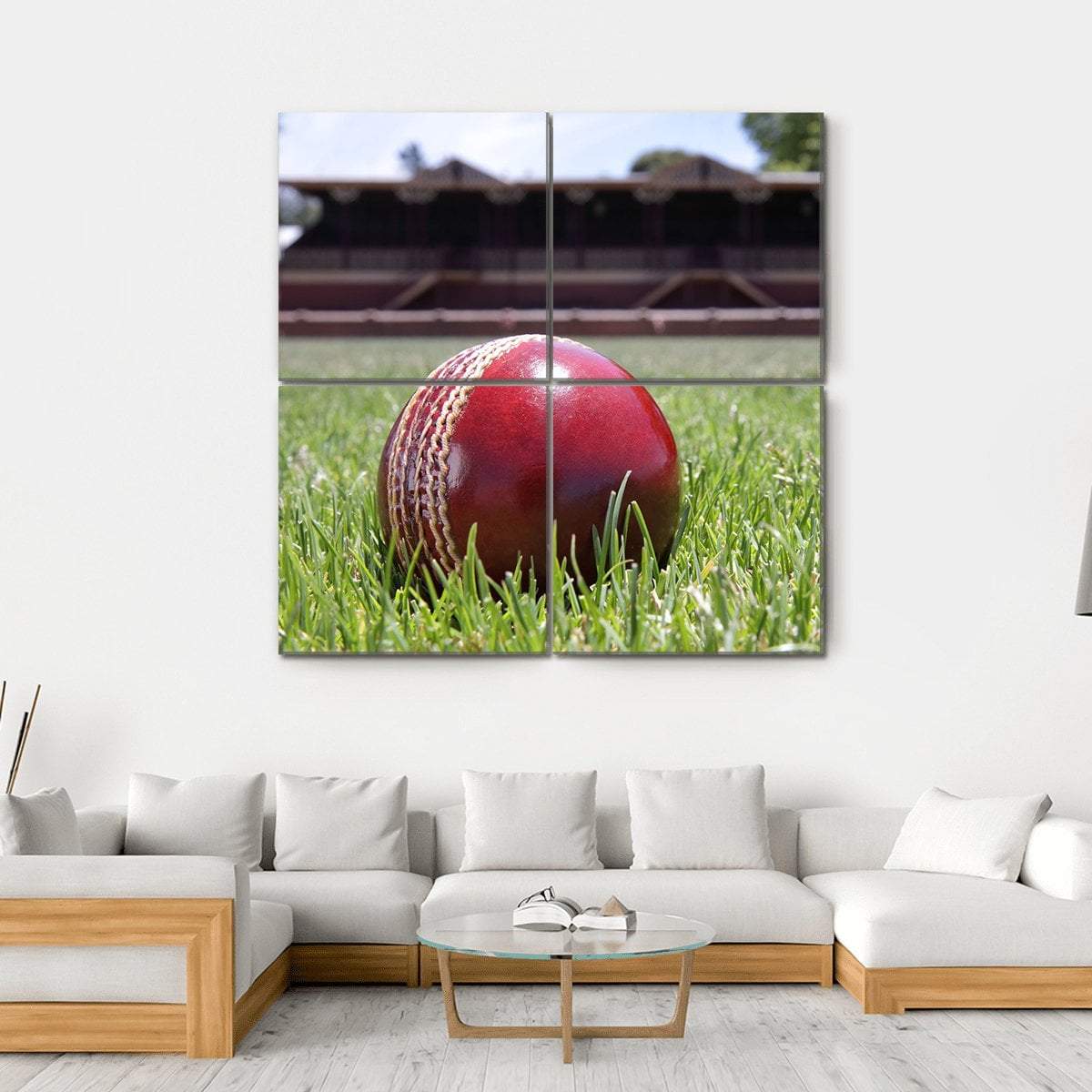 Shiny New Cricket Ball On Grass Canvas Wall Art-4 Square-Gallery Wrap-17" x 17"-Tiaracle