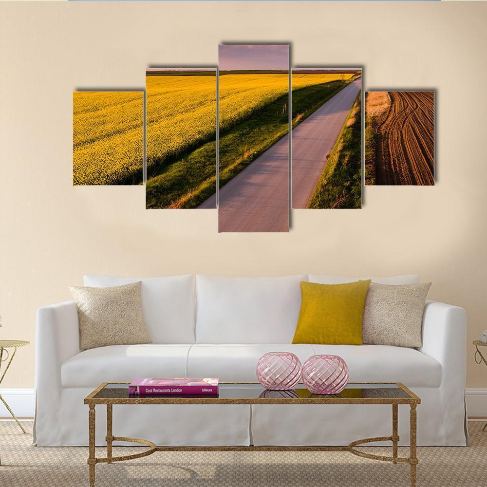 Shot Of Canola Rape Seed From Drone Canvas Wall Art-5 Star-Gallery Wrap-62" x 32"-Tiaracle