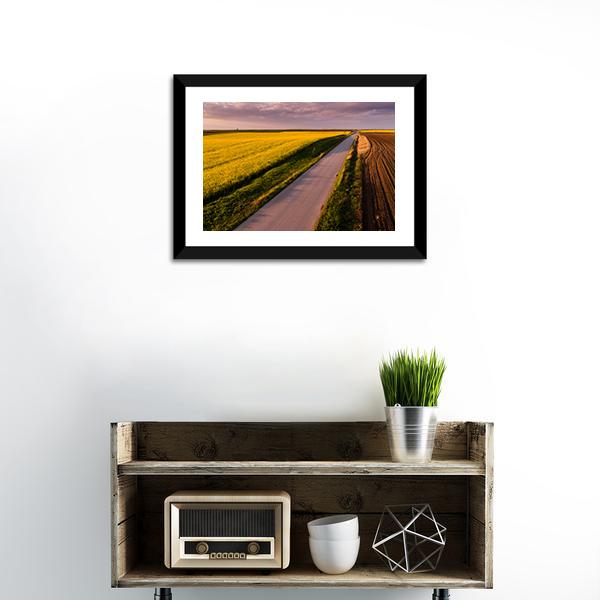 Shot Of Canola Rape Seed From Drone Canvas Wall Art-1 Piece-Framed Print-20" x 16"-Tiaracle