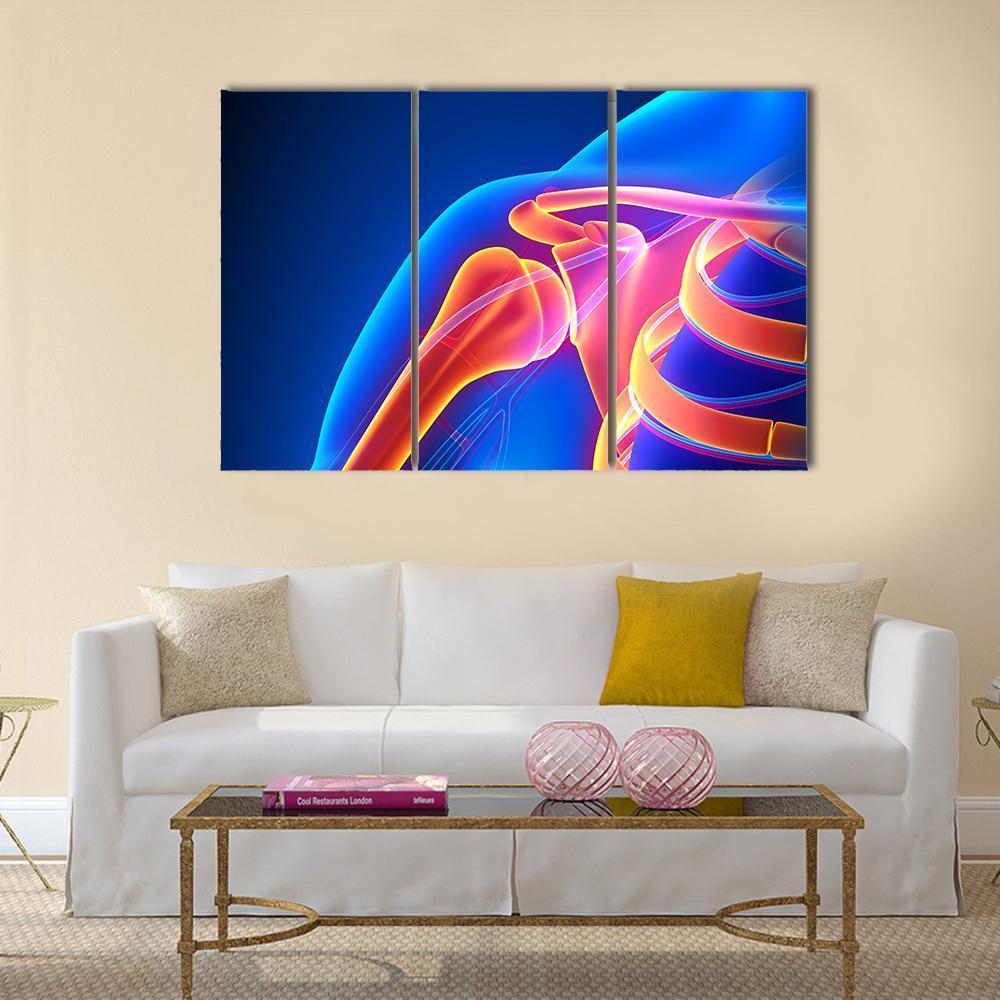 Shoulder Joint Anatomy Canvas Wall Art-3 Horizontal-Gallery Wrap-37" x 24"-Tiaracle