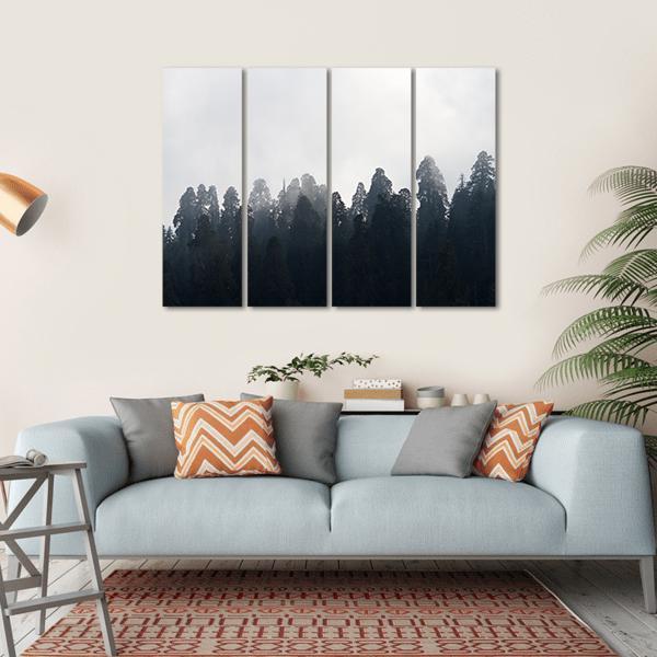 Silhouette of Redwood Forest In Mist Canvas Wall Art-4 Horizontal-Gallery Wrap-34" x 24"-Tiaracle