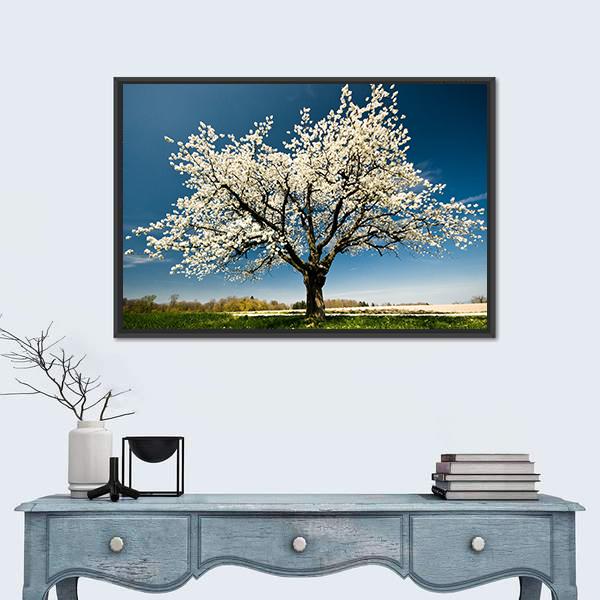Single Blossoming Tree In Spring Canvas Wall Art-1 Piece-Floating Frame-24" x 16"-Tiaracle