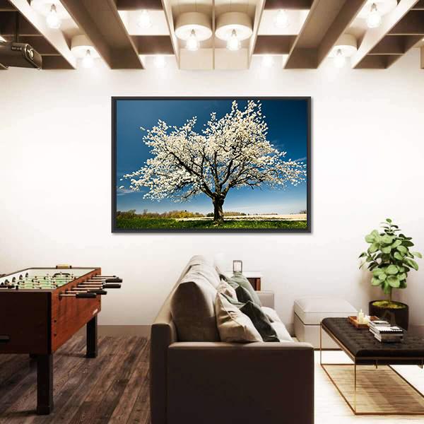 Single Blossoming Tree In Spring Canvas Wall Art-3 Horizontal-Gallery Wrap-25" x 16"-Tiaracle
