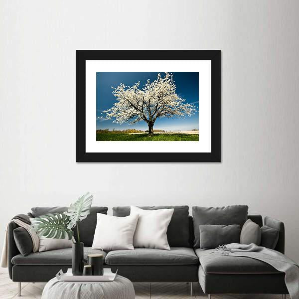 Single Blossoming Tree In Spring Canvas Wall Art-3 Horizontal-Gallery Wrap-25" x 16"-Tiaracle