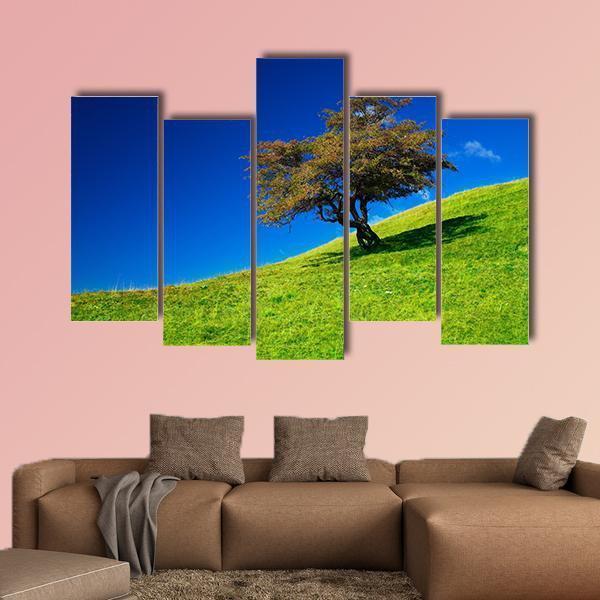 Single Tree On A Green Meadow Canvas Wall Art-5 Pop-Gallery Wrap-47" x 32"-Tiaracle