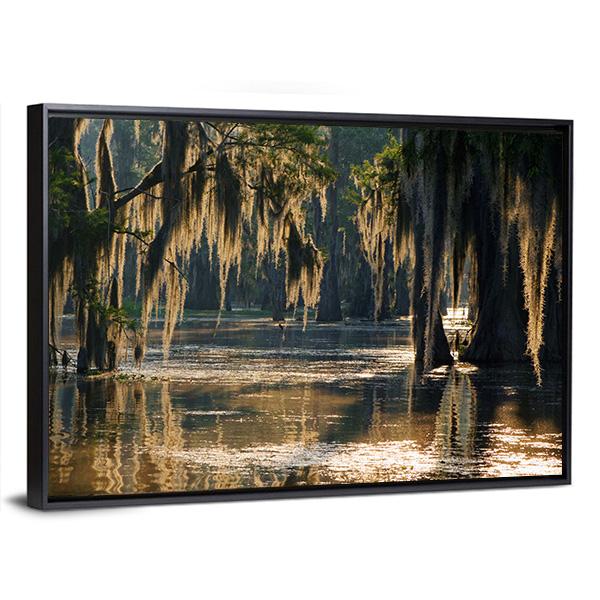Spanish Moss In The Louisiana Bayou Canvas Wall Art-3 Horizontal-Gallery Wrap-25" x 16"-Tiaracle