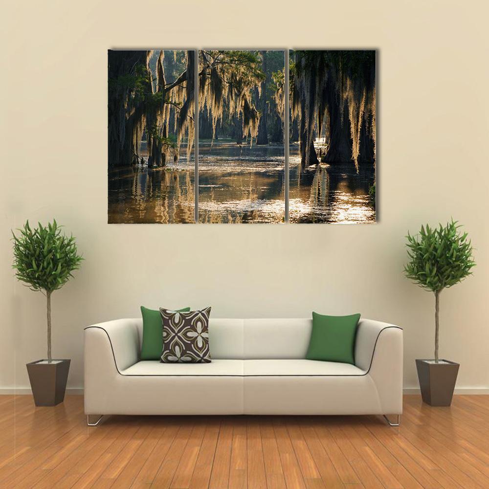 Spanish Moss In The Louisiana Bayou Canvas Wall Art-3 Horizontal-Gallery Wrap-37" x 24"-Tiaracle