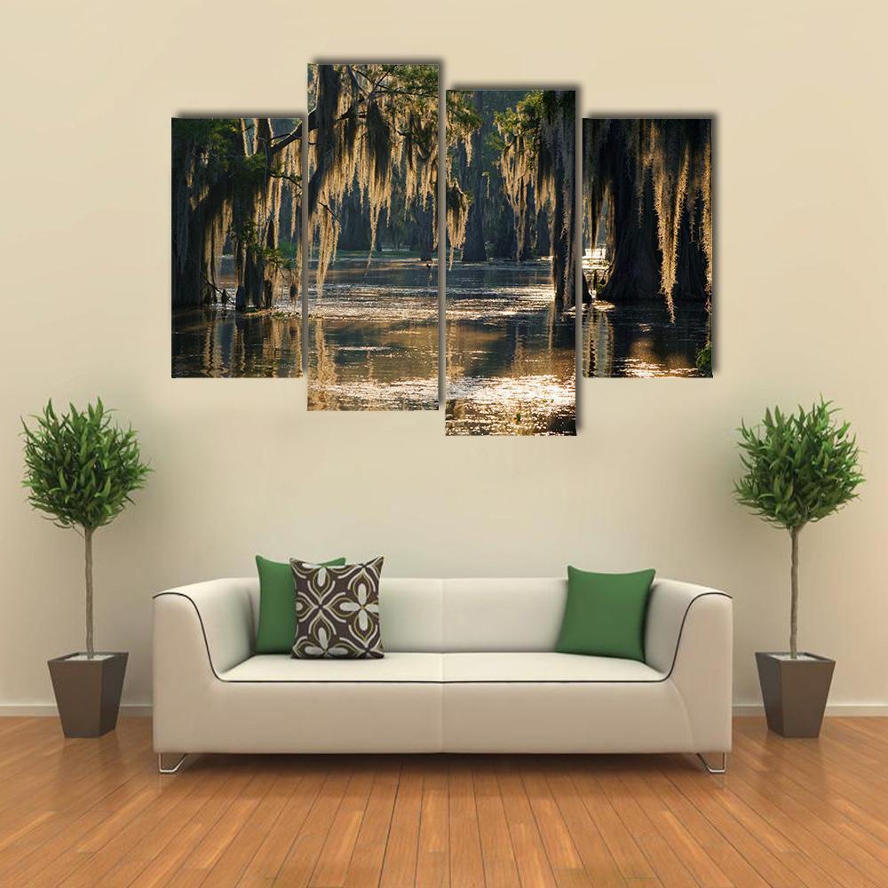 Spanish Moss In The Louisiana Bayou Canvas Wall Art-4 Pop-Gallery Wrap-50" x 32"-Tiaracle