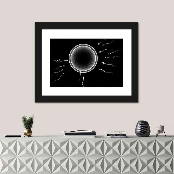 Sperm And Human Egg Canvas Wall Art-1 Piece-Framed Print-20" x 16"-Tiaracle
