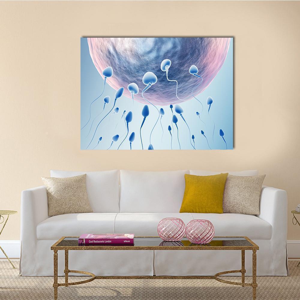 Sperm Hitting Egg Canvas Wall Art-1 Piece-Gallery Wrap-36" x 24"-Tiaracle