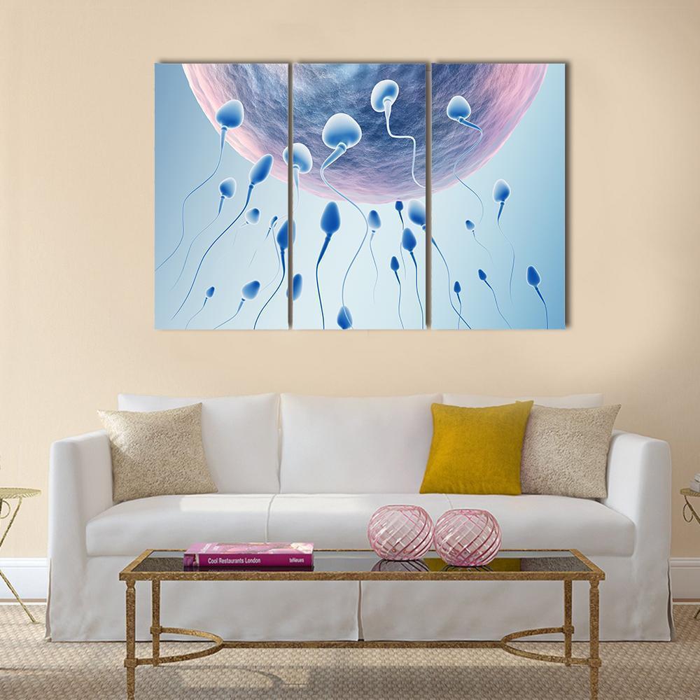 Sperm Hitting Egg Canvas Wall Art-3 Horizontal-Gallery Wrap-37" x 24"-Tiaracle