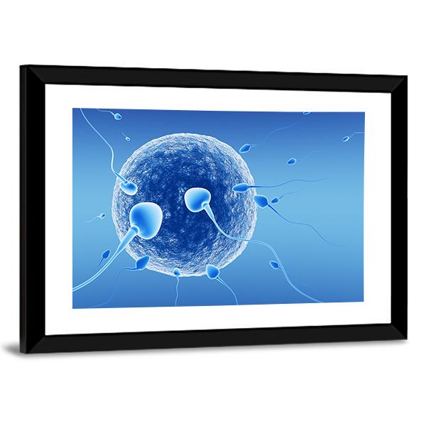 Spermatozoids And Human Egg Canvas Wall Art-3 Horizontal-Gallery Wrap-25" x 16"-Tiaracle