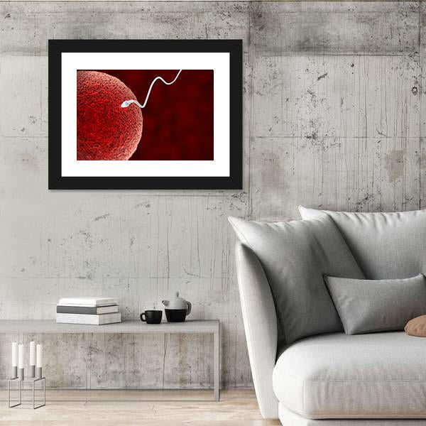 Spermatozoon Fertilizing Ovum Canvas Wall Art-3 Horizontal-Gallery Wrap-25" x 16"-Tiaracle