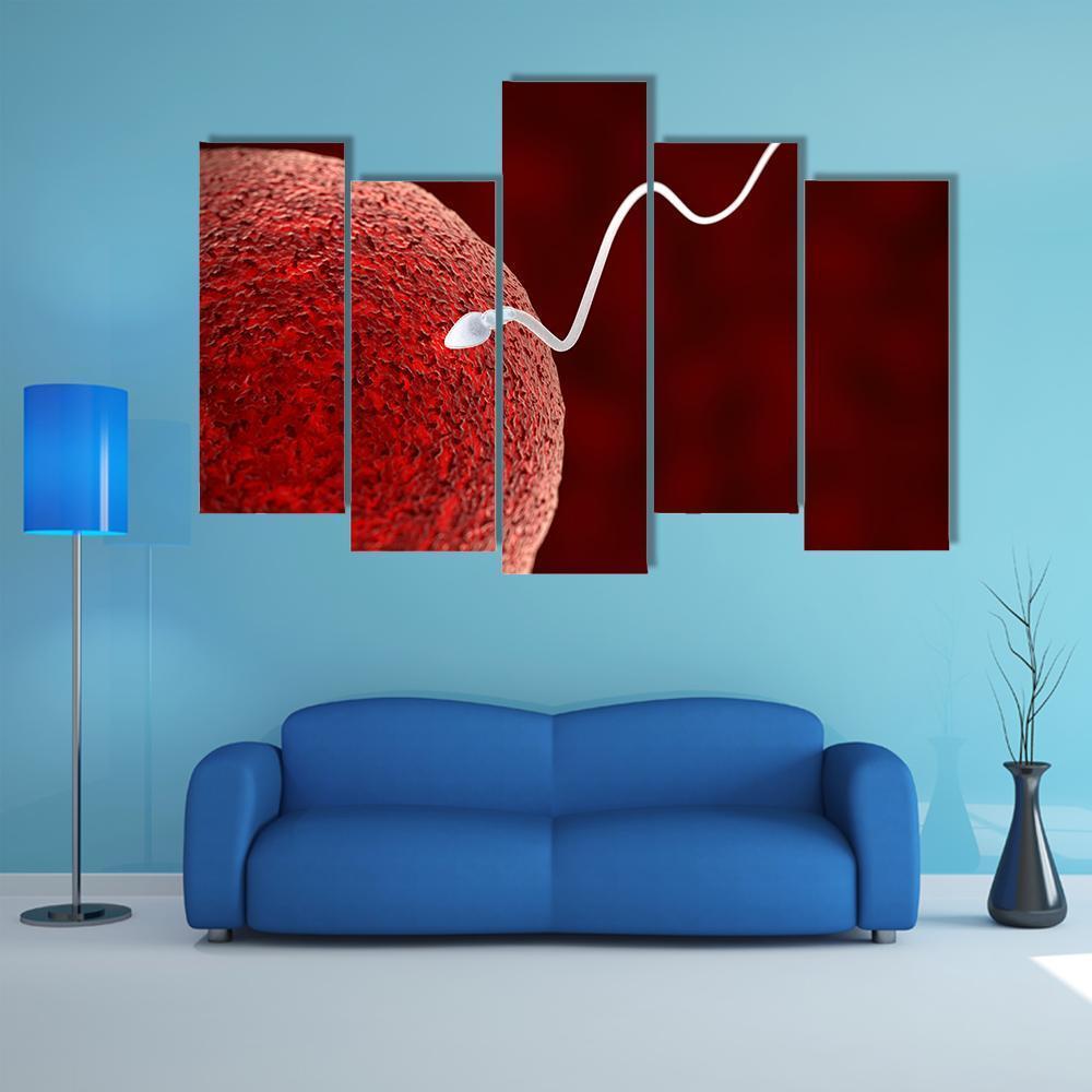 Spermatozoon Fertilizing Ovum Canvas Wall Art-5 Pop-Gallery Wrap-47" x 32"-Tiaracle