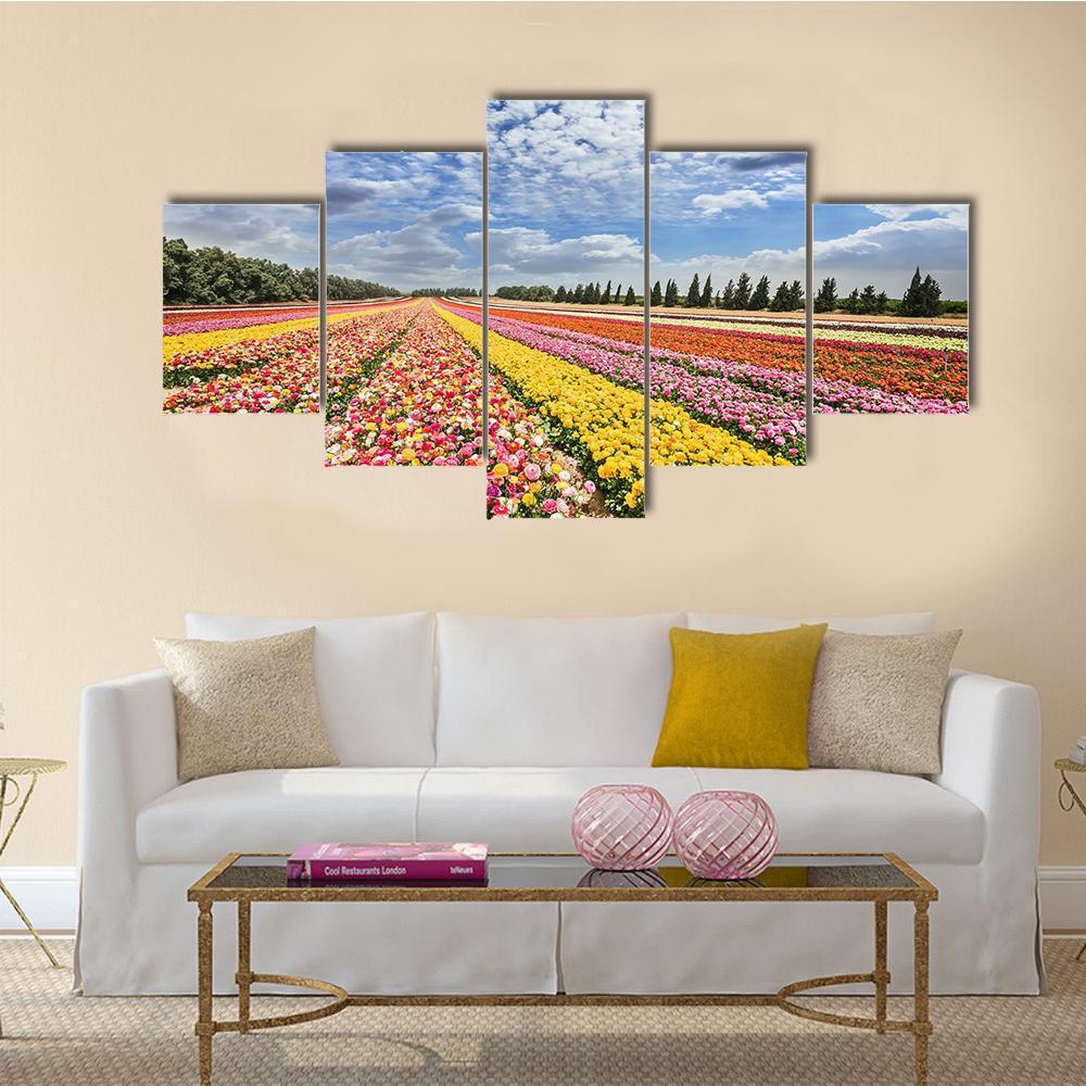 Spring Flowering Buttercups Canvas Wall Art-5 Star-Gallery Wrap-62" x 32"-Tiaracle