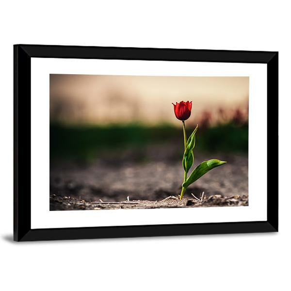 Spring Flowers In Holland Canvas Wall Art-3 Horizontal-Gallery Wrap-25" x 16"-Tiaracle