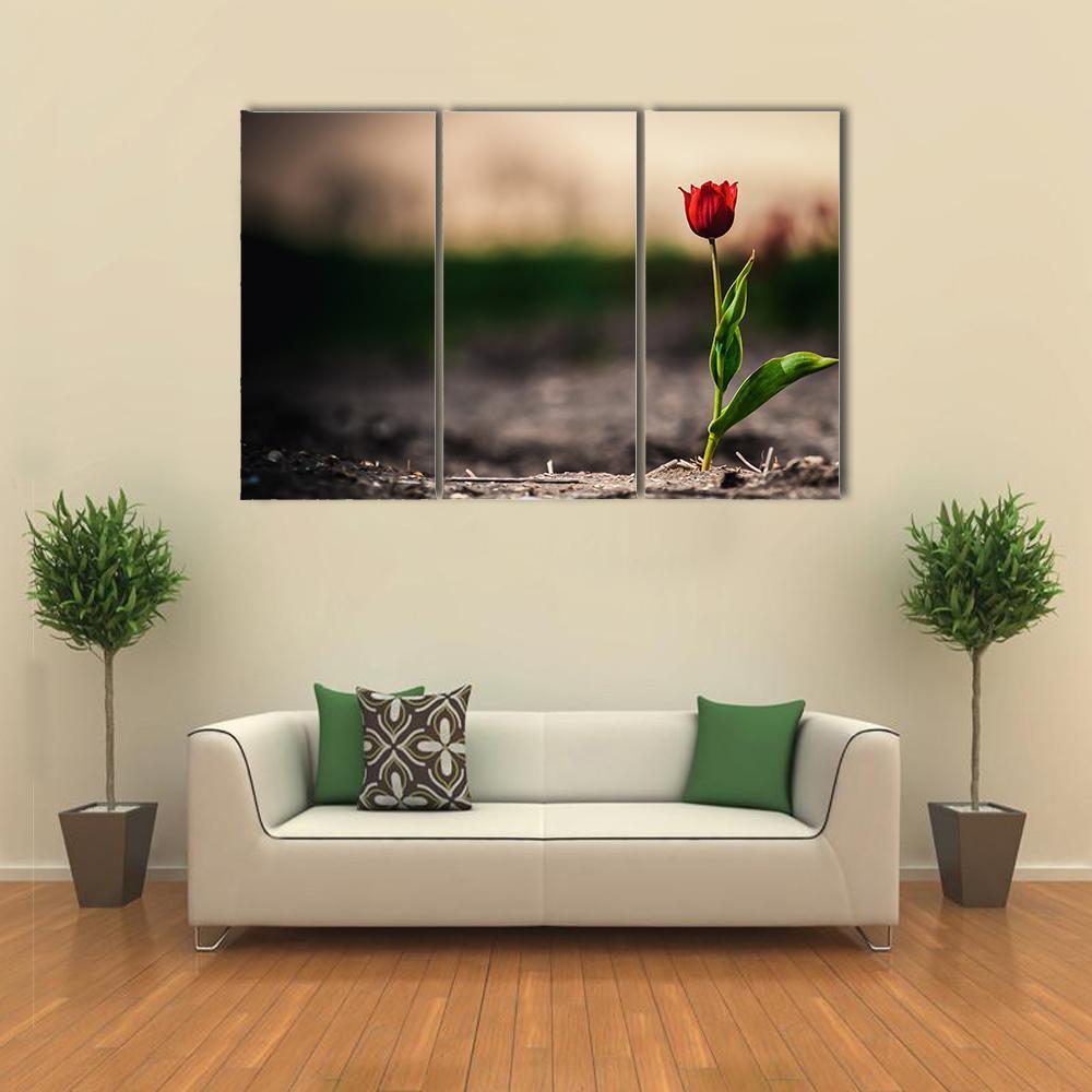 Spring Flowers In Holland Canvas Wall Art-3 Horizontal-Gallery Wrap-37" x 24"-Tiaracle