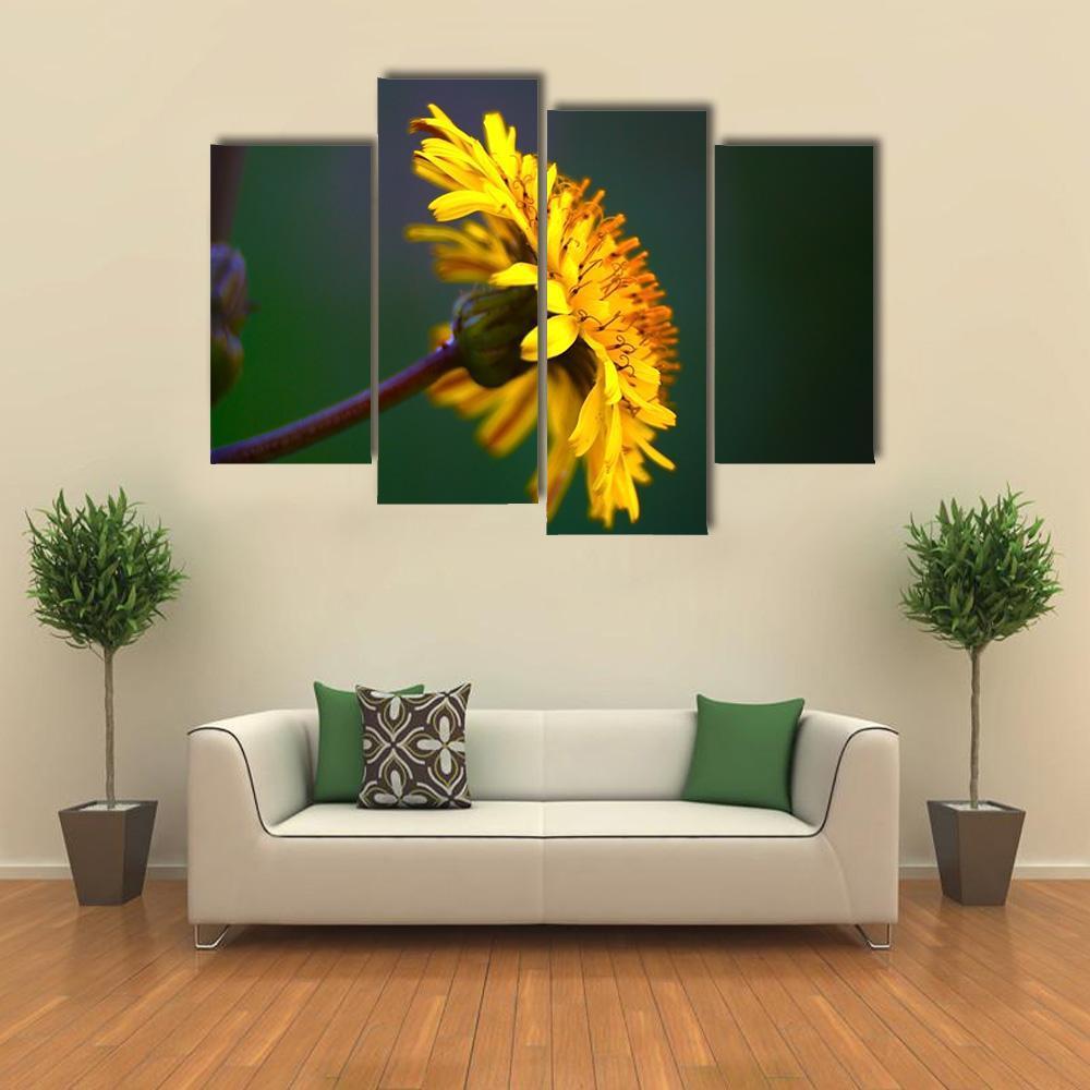 Spring In Bloom Canvas Wall Art-4 Pop-Gallery Wrap-50" x 32"-Tiaracle