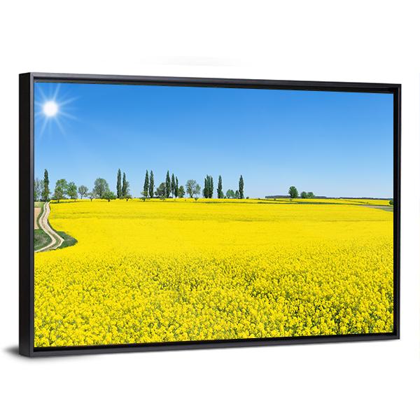 Spring Landscape With Blooming Rapeseed Panoramic Canvas Wall Art-1 Piece-36" x 12"-Tiaracle