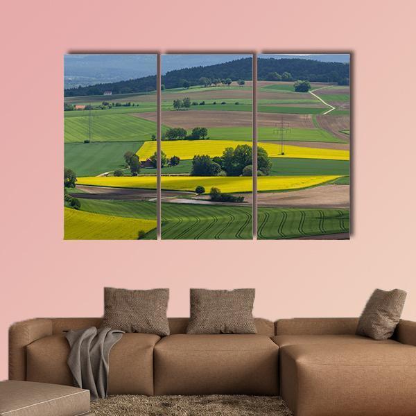 Spring Landscape With Canola Fields In Bavaria Canvas Wall Art-3 Horizontal-Gallery Wrap-37" x 24"-Tiaracle