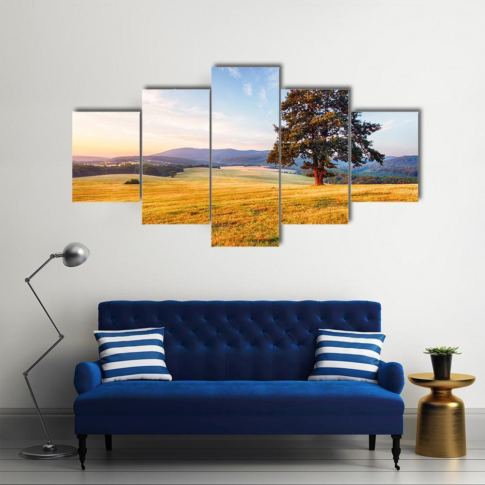 Spring Landscape With Tree And Sun Canvas Wall Art-5 Star-Gallery Wrap-62" x 32"-Tiaracle