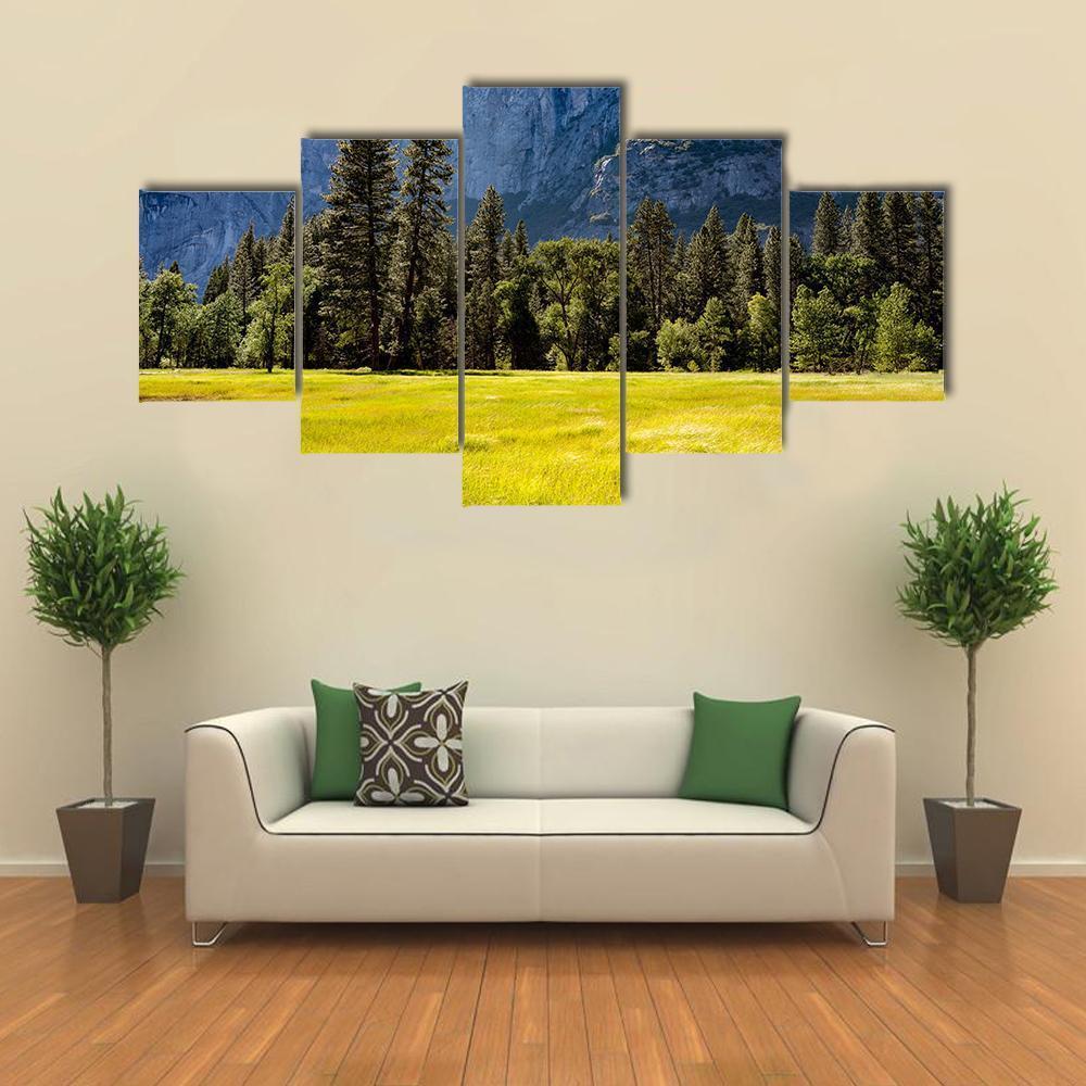 Spring Meadow At Yosemite National Park Canvas Wall Art-5 Star-Gallery Wrap-62" x 32"-Tiaracle