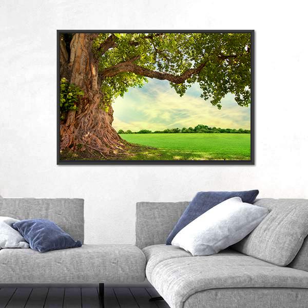 Spring Meadow With Big Tree Canvas Wall Art-3 Horizontal-Gallery Wrap-25" x 16"-Tiaracle