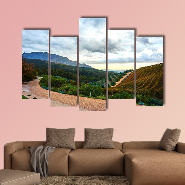 Stellenbosch Town In South Africa Canvas Wall Art-5 Pop-Gallery Wrap-47" x 32"-Tiaracle