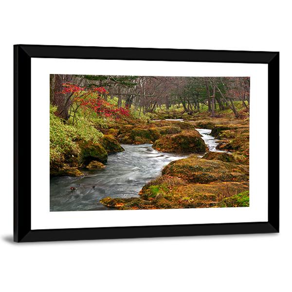 Strange Landscape Of River Flows On Misty Forest Canvas Wall Art-3 Horizontal-Gallery Wrap-25" x 16"-Tiaracle