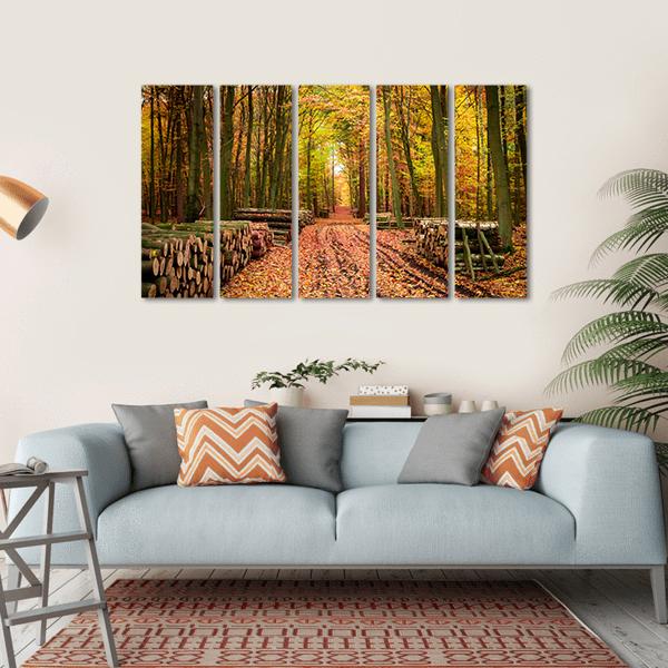 Stumped Tree In An Autumn Forest Canvas Wall Art-5 Horizontal-Gallery Wrap-22" x 12"-Tiaracle