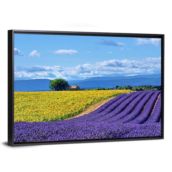 Stunning Rural Landscape With Lavender Field Canvas Wall Art-3 Horizontal-Gallery Wrap-25" x 16"-Tiaracle
