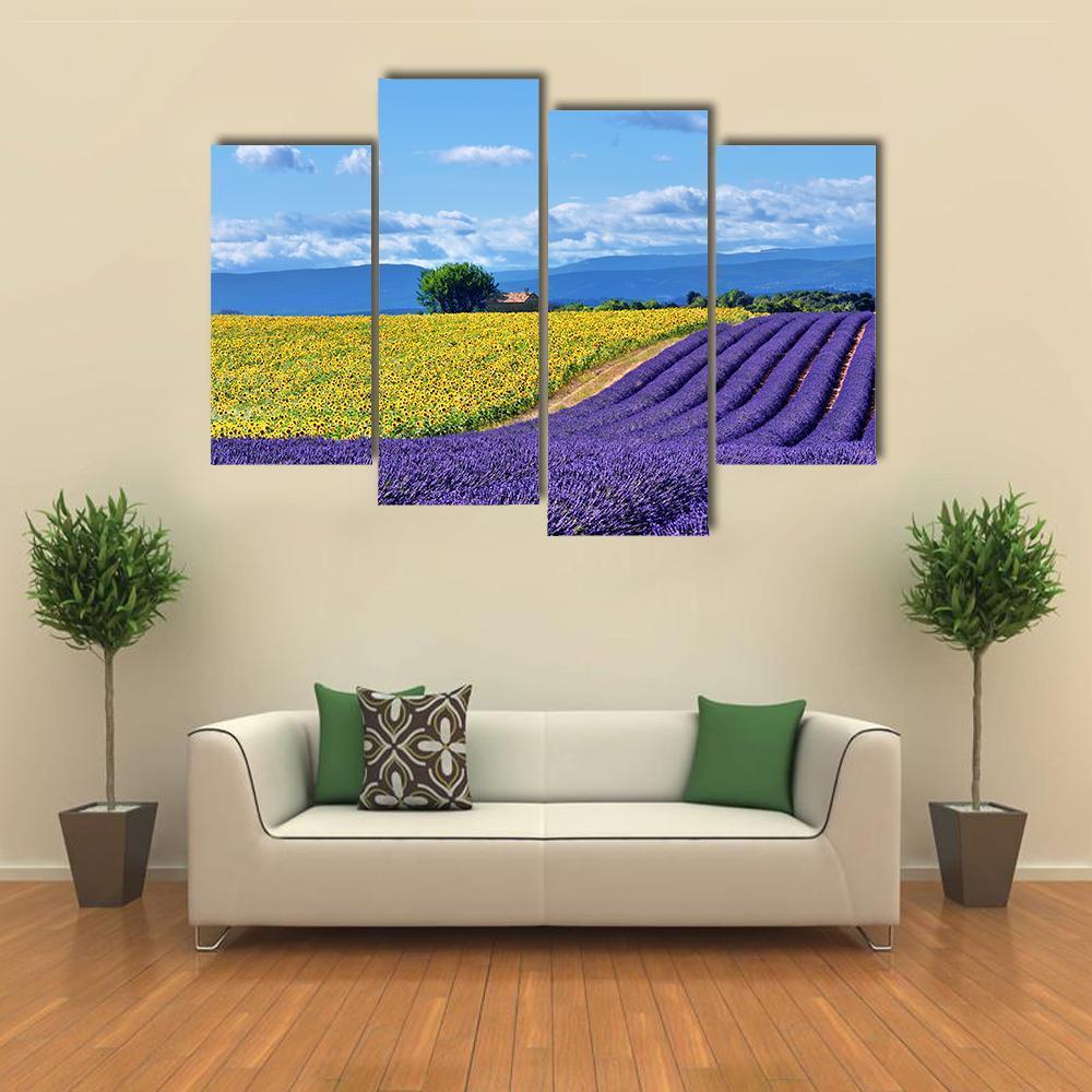 Stunning Rural Landscape With Lavender Field Canvas Wall Art-4 Pop-Gallery Wrap-50" x 32"-Tiaracle