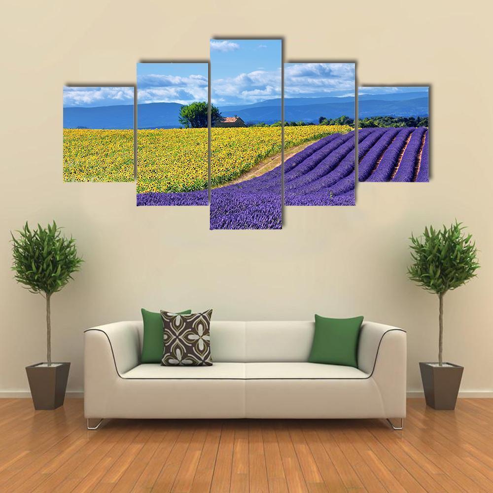 Stunning Rural Landscape With Lavender Field Canvas Wall Art-5 Star-Gallery Wrap-62" x 32"-Tiaracle
